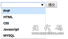 预定义选项列表