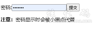 密码字段